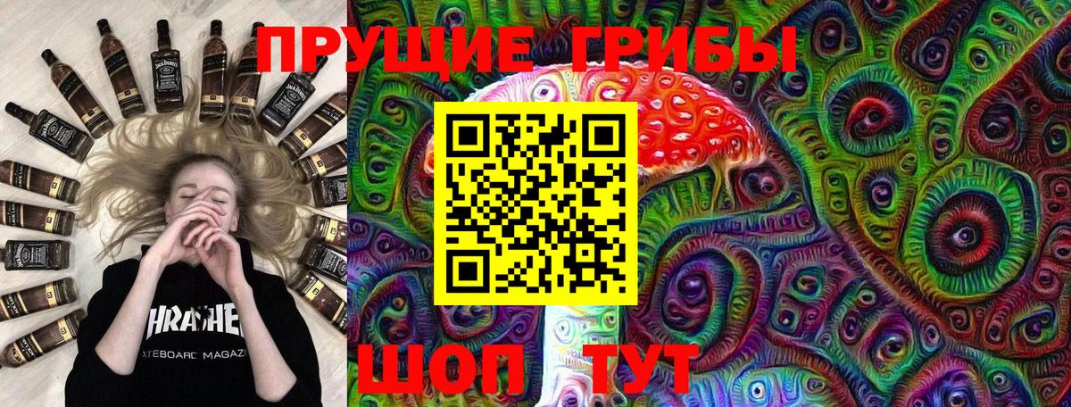 Псилоцибиновые грибы прущие грибы  наркошоп  Электросталь  Вход с VPN 