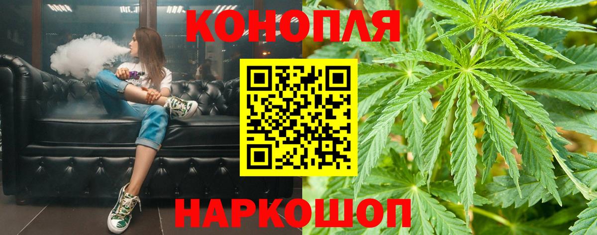 Бошки Шишки планчик Электросталь